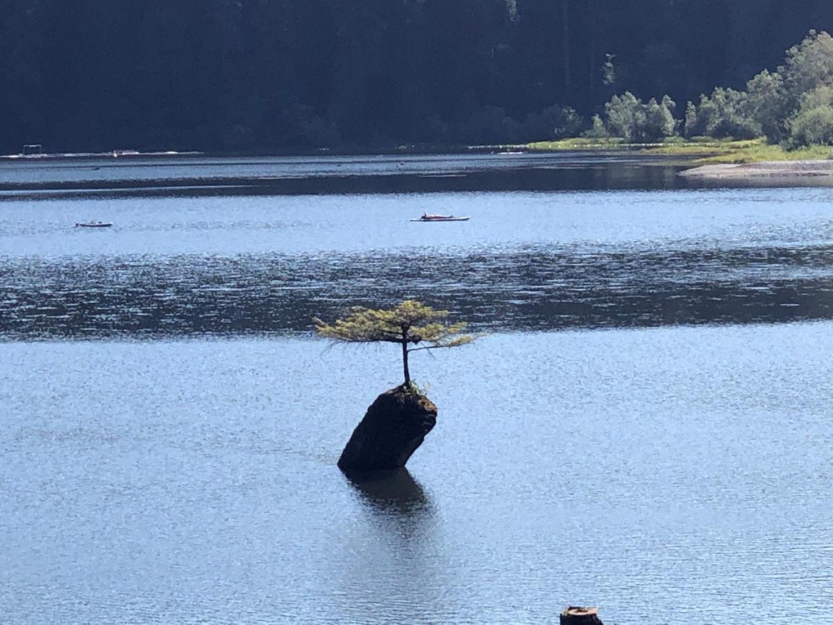 Port Renfrew Vacation Rentals Экстерьер фото