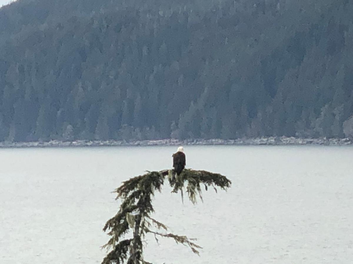 Port Renfrew Vacation Rentals Экстерьер фото