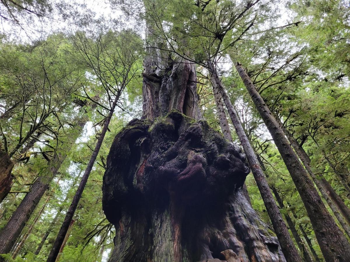 Port Renfrew Vacation Rentals Экстерьер фото